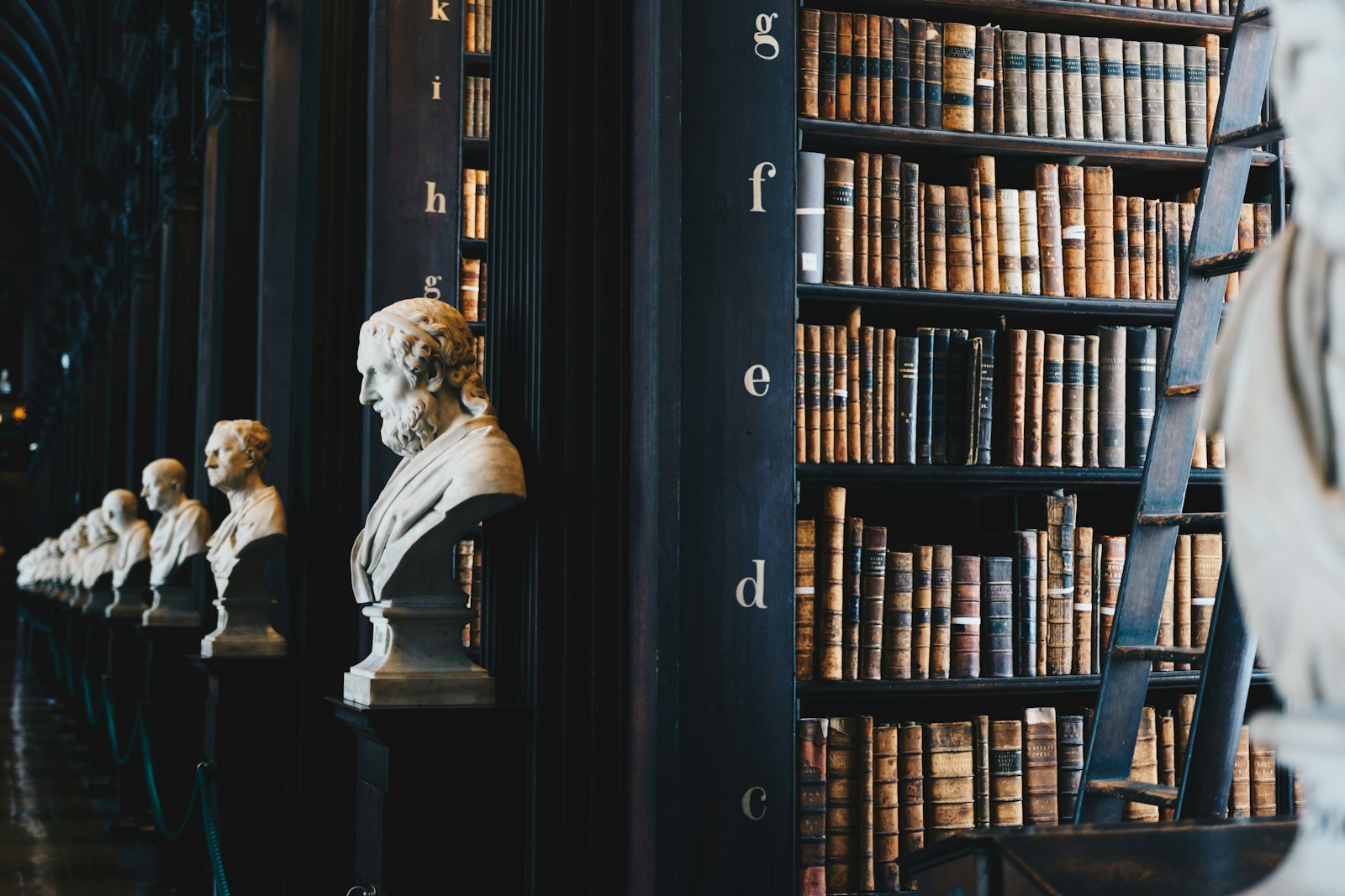 Galeria clássica com bustos de mármore e estantes de livros — sede da sociedade